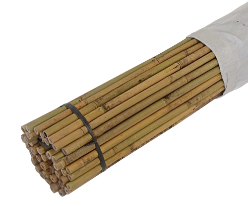 10 ft Bamboo Poles  (25 pcs/bundle)