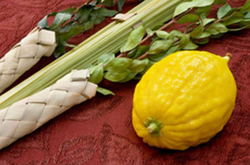 Etrog and Lulav